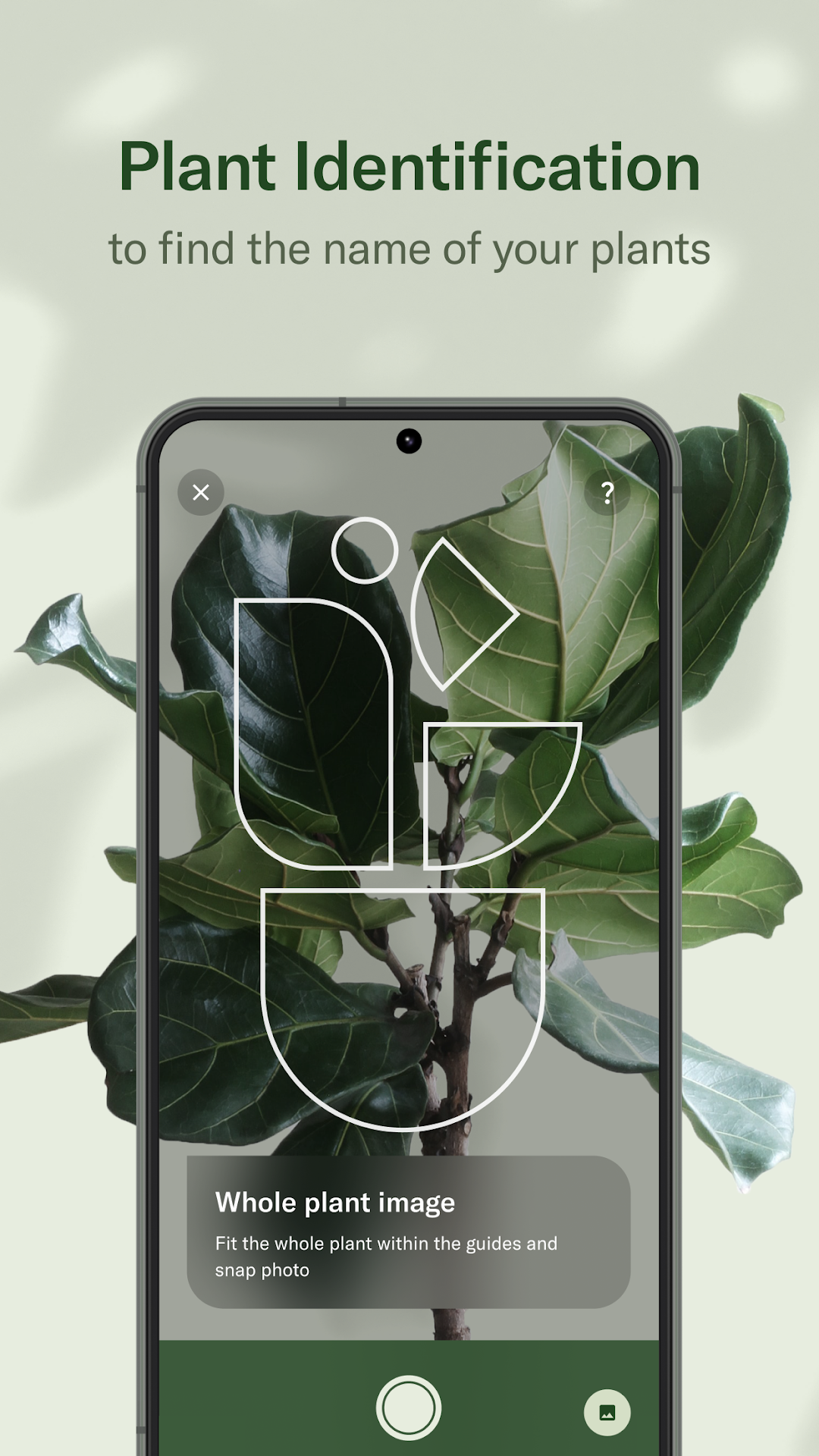 Planta: AI Plant & Garden Care mod apk screenshot 3